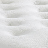 Dura Beds Comfort Care Sprung Mattress